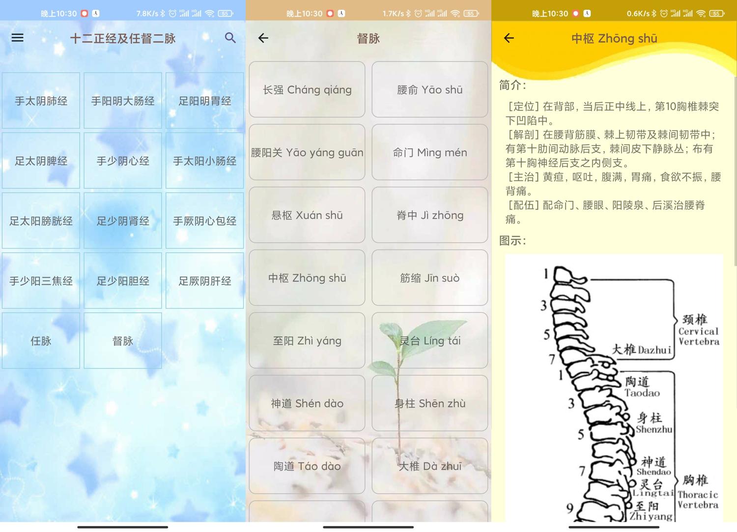 安卓人体穴位图解大全v2.9.3