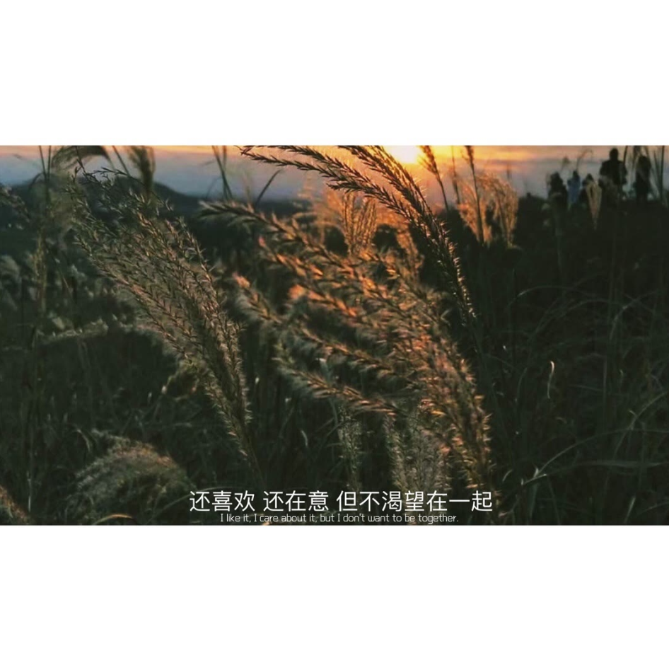 QQ图片20200921195950.png