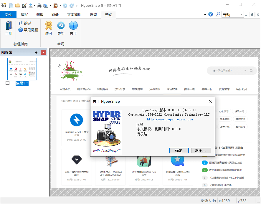 HyperSnap v9.1.00便携汉化版