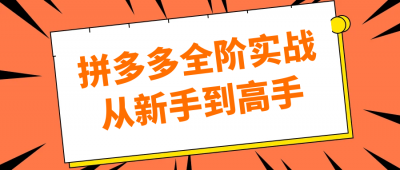 拼多多全阶实战从新手到高手