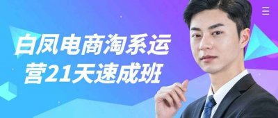 白凤电商淘系运营21天速成班