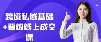 跨境私域基础+晋级线上成交课