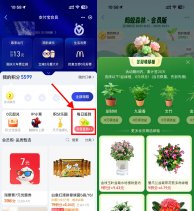 支付宝蚂蚁森林签20天领绿植
