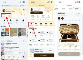 QQ音乐超会签到10天抽实物